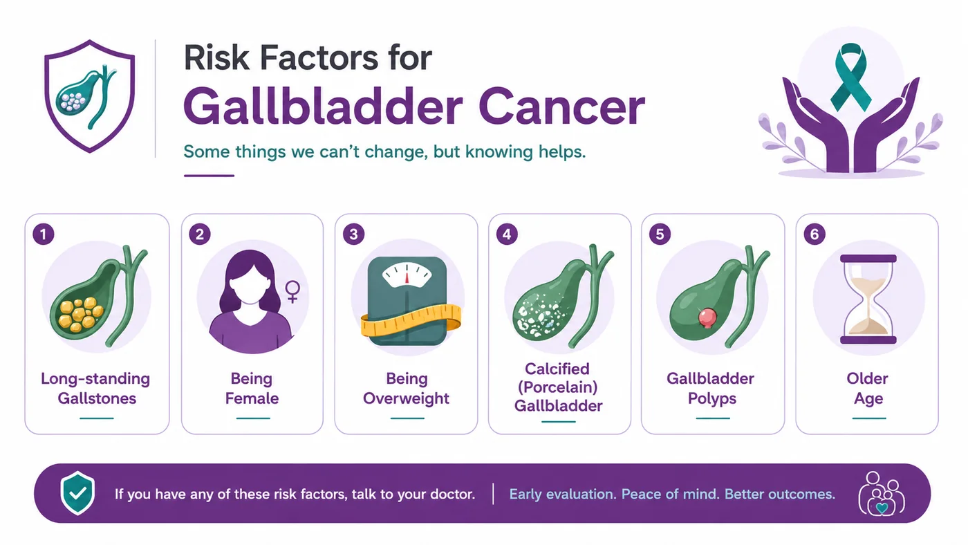 Risk factors for gallbladder cancer — gallstones, being female, obesity, porcelain gallbladder, polyps and older age