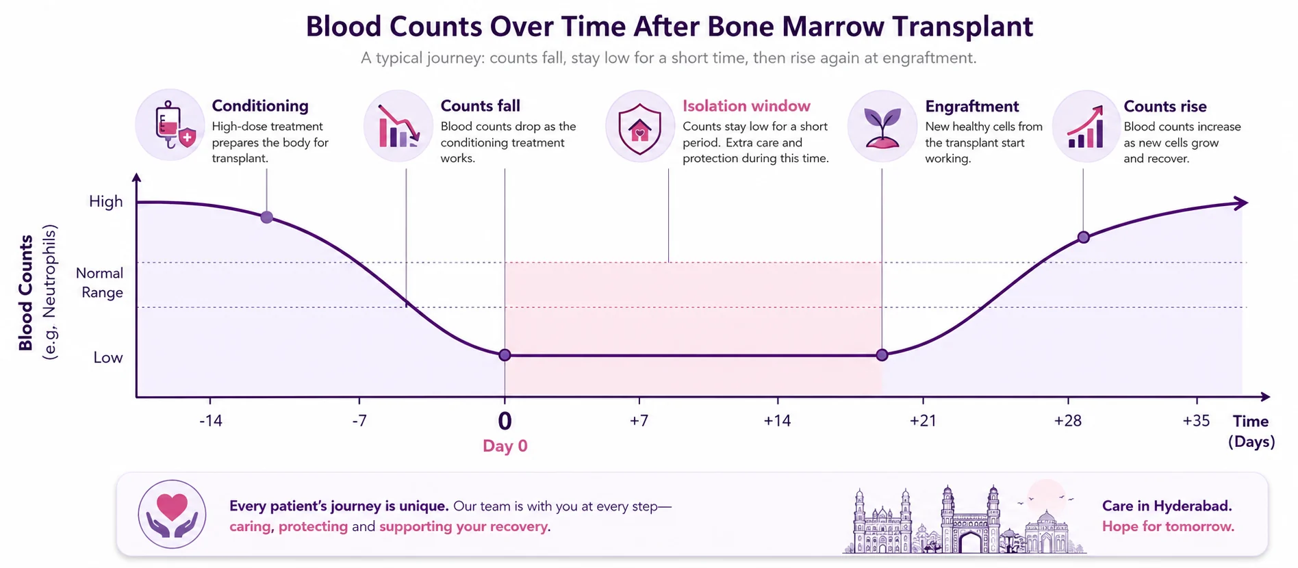 Line graph of blood counts falling during conditioning, staying low through the isolation window, then rising at engraftment after a bone marrow transplant — CION Cancer Clinics