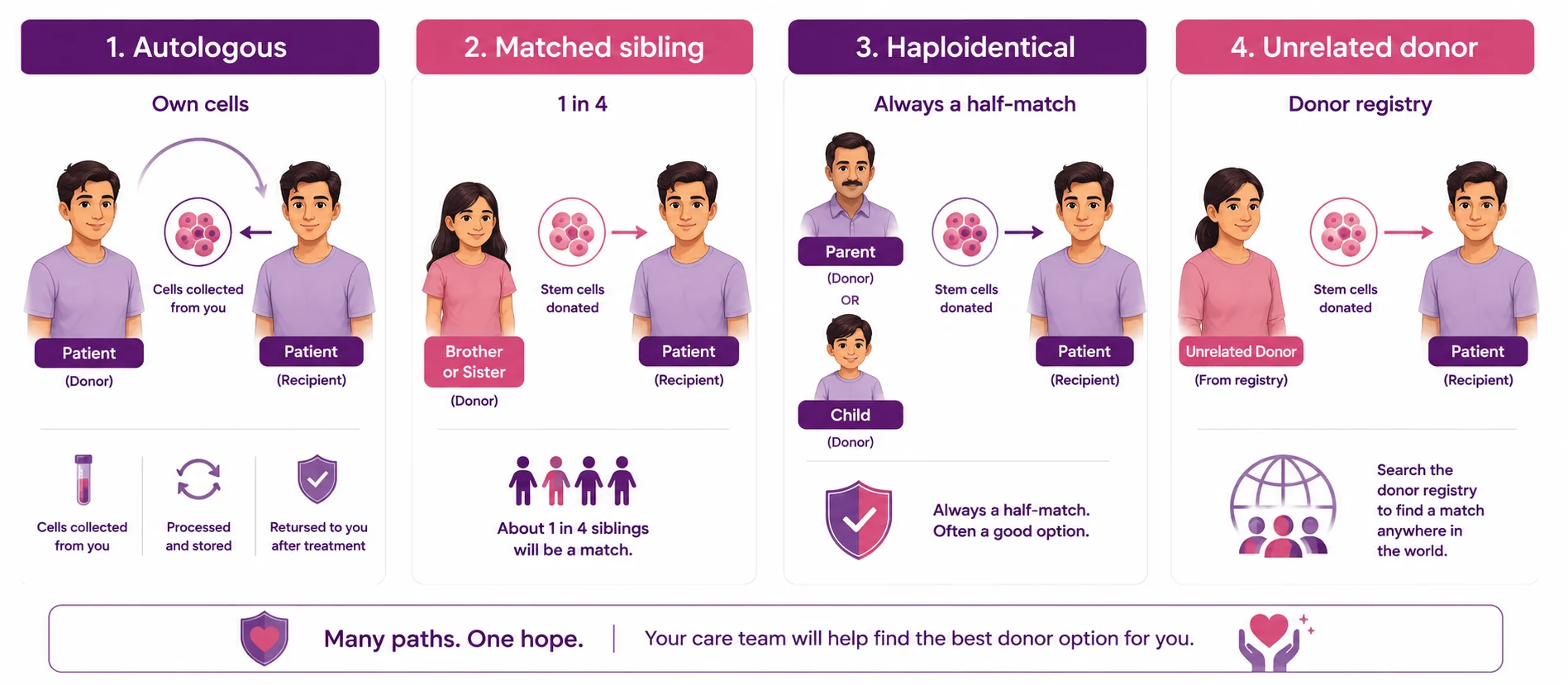 The four bone marrow donor routes compared — autologous (your own cells), matched sibling, haploidentical half-match parent or child, and unrelated registry donor — CION Cancer Clinics